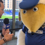 Riverside Radio to air live AFC Wimbledon commentary
